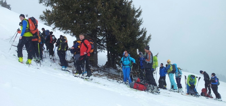 Skitour zur Schwalbenwand 2011 m.