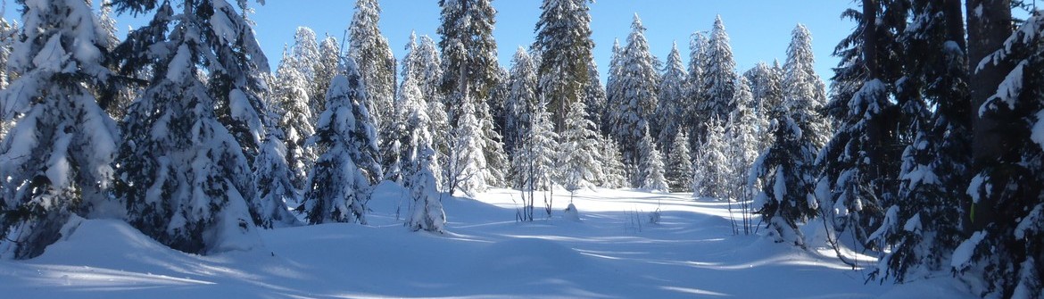 Winterlandschaft am Arber