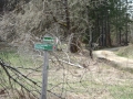 MTB_BüscherlKobel_ 040419_14