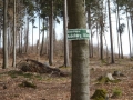 MTB_BüscherlKobel_ 040419_17