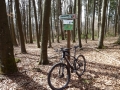 MTB_BüscherlKobel_ 040419_21