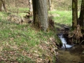 MTB_BüscherlKobel_ 040419_4