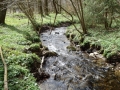 MTB_BüscherlKobel_ 040419_6