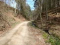 MTB_BüscherlKobel_ 040419_7