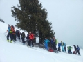 ST_Schwalbenwand_250316_7